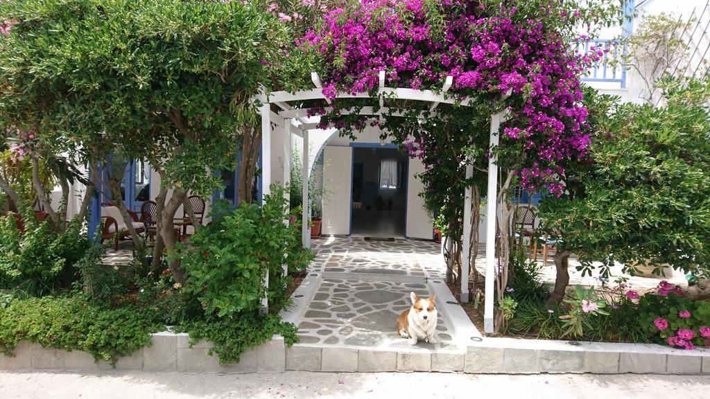 Panorama Paros Otel Dış mekan fotoğraf